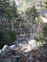 the way down - option one.jpg